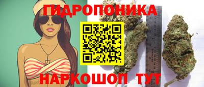 гидра Тулун