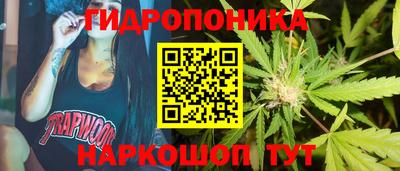 прущие грибы Туймазы