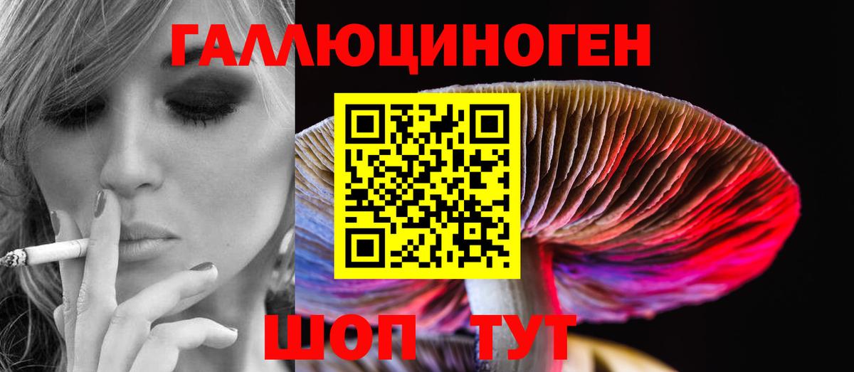 Псилоцибиновые грибы Cubensis Соль-Илецк