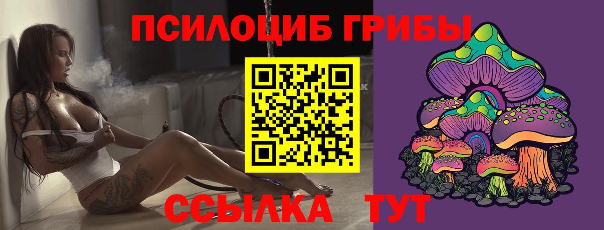 Соль-Илецк  Галлюциногенные грибы мухоморы  Вход с VPN  Галлюциногенные грибы Psilocybine cubensis 